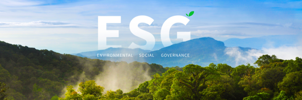 ESG - co to 