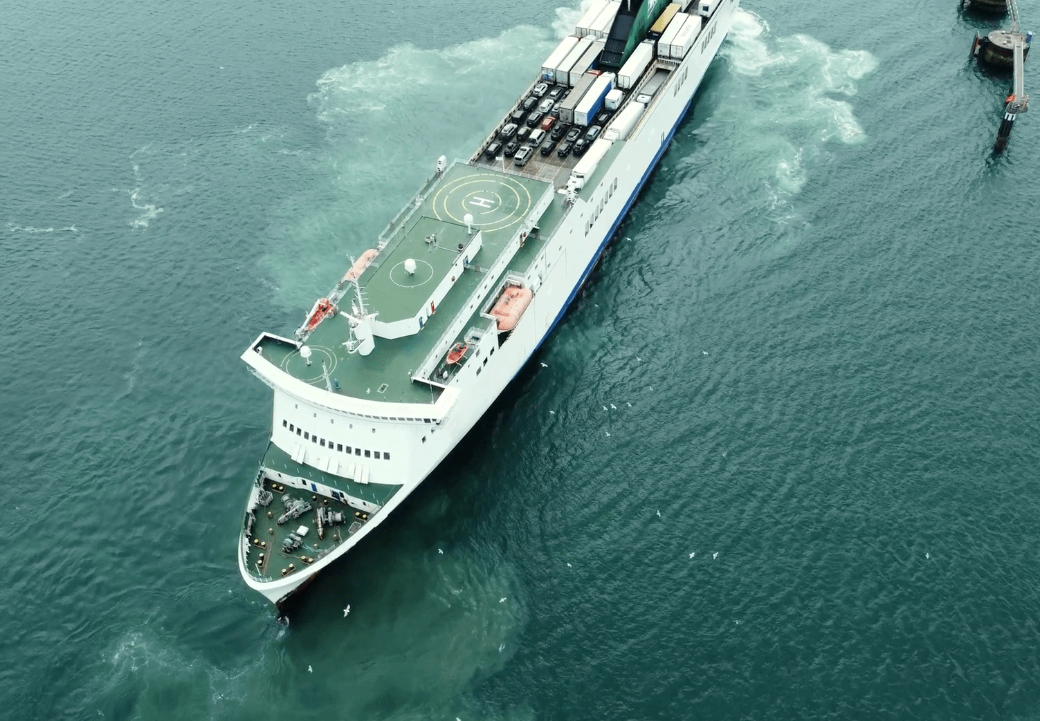 HOGS promy CARGO